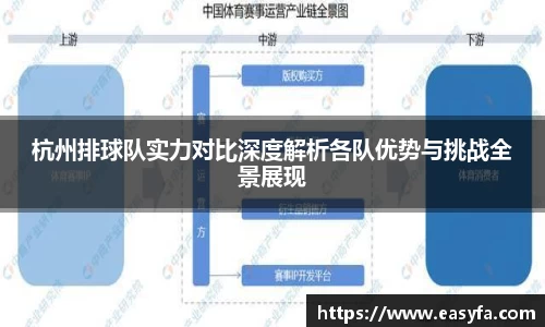 杭州排球队实力对比深度解析各队优势与挑战全景展现